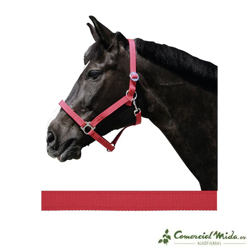 Cabezada KERBL de Nylon para Caballo - Image 3