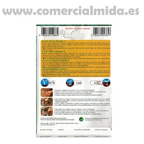 Semillas de COL DE MILÁN VIRTUDES 4 Vilmorin 6g - Image 2
