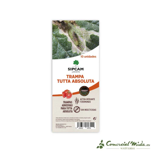 Trampa Cromática para Tuta Absoluta (Pack 10 Uds)