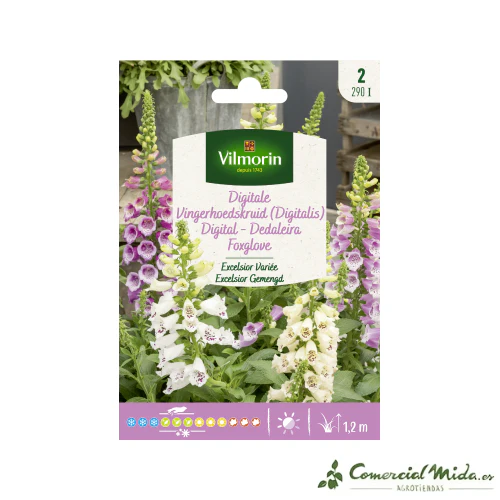 VILMORIN Semillas Digital Excelsior Variada