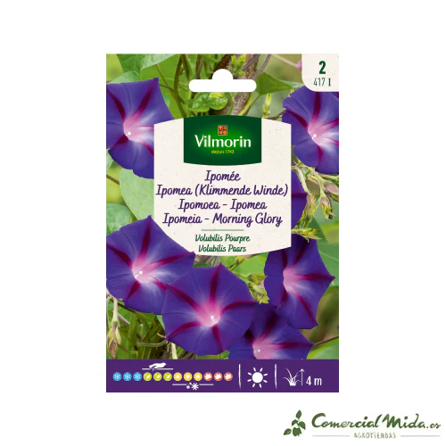 VILMORIN Semillas Ipomoea Volubilis Púrpura