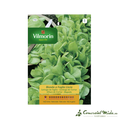 VILMORIN Semillas Lechuga de Cortar Bionda a Foglia Liscia