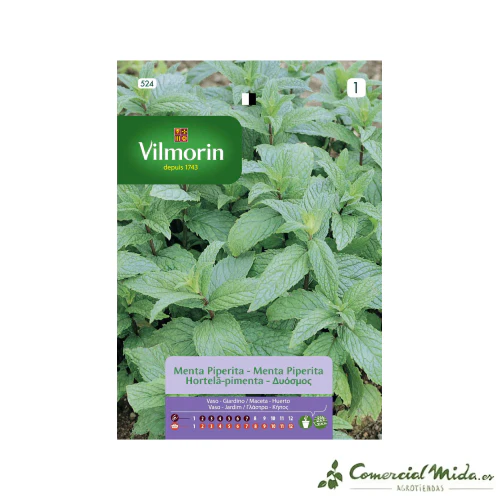 VILMORIN Semillas Menta Piperita