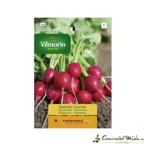 VILMORIN Semillas Rabanito Redondo Rojo