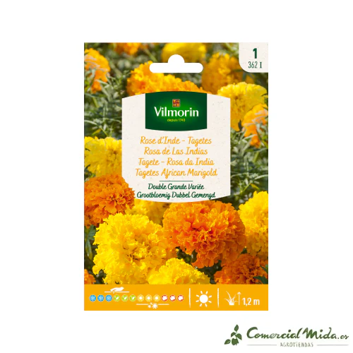 VILMORIN Semillas Rosa de Las Indias Doble Grande Variada