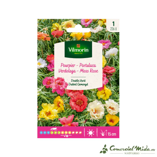 VILMORIN Semillas Verdolaga Doble Variada